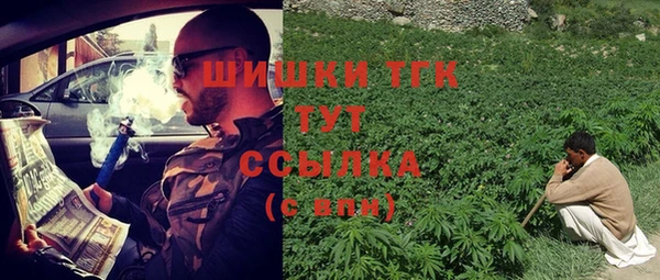 МДПВ Козловка