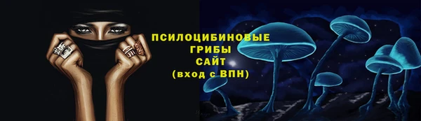 альфа пвп Краснослободск