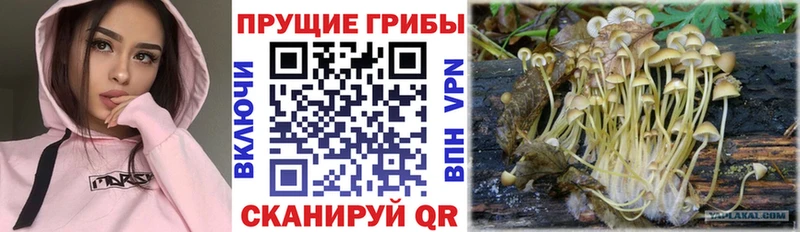 закладки  Кяхта  Галлюциногенные грибы мухоморы 