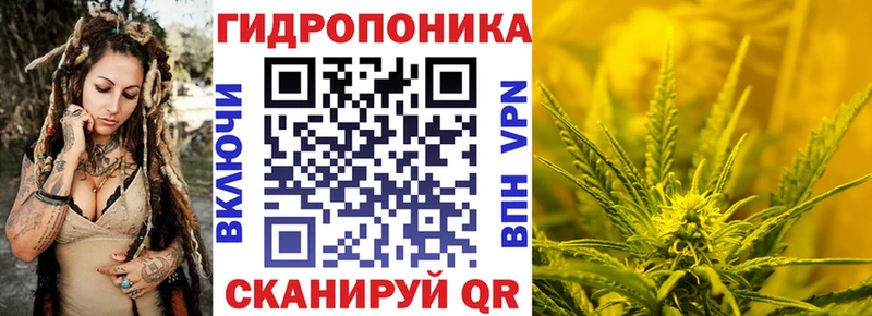 магазин продажи   Кяхта  Бошки марихуана марихуана 